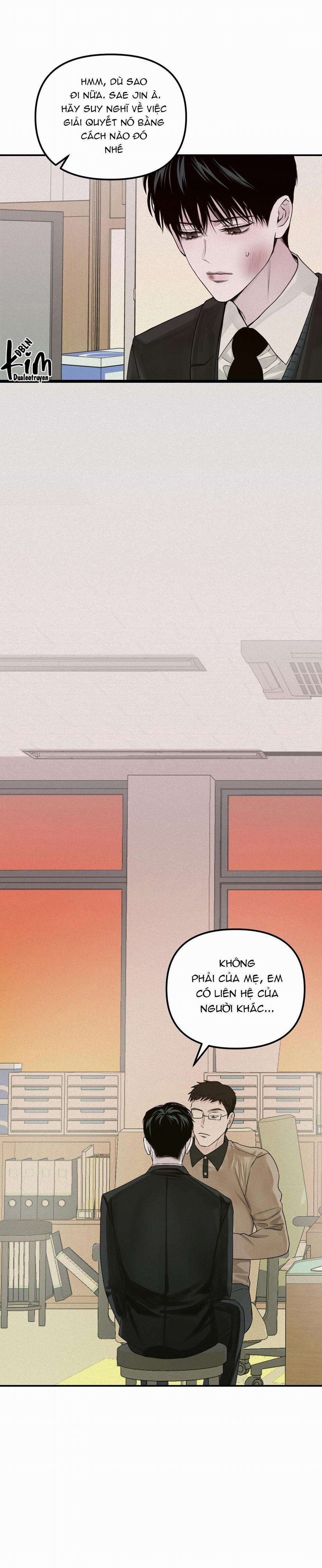 Projection 24 trang 13