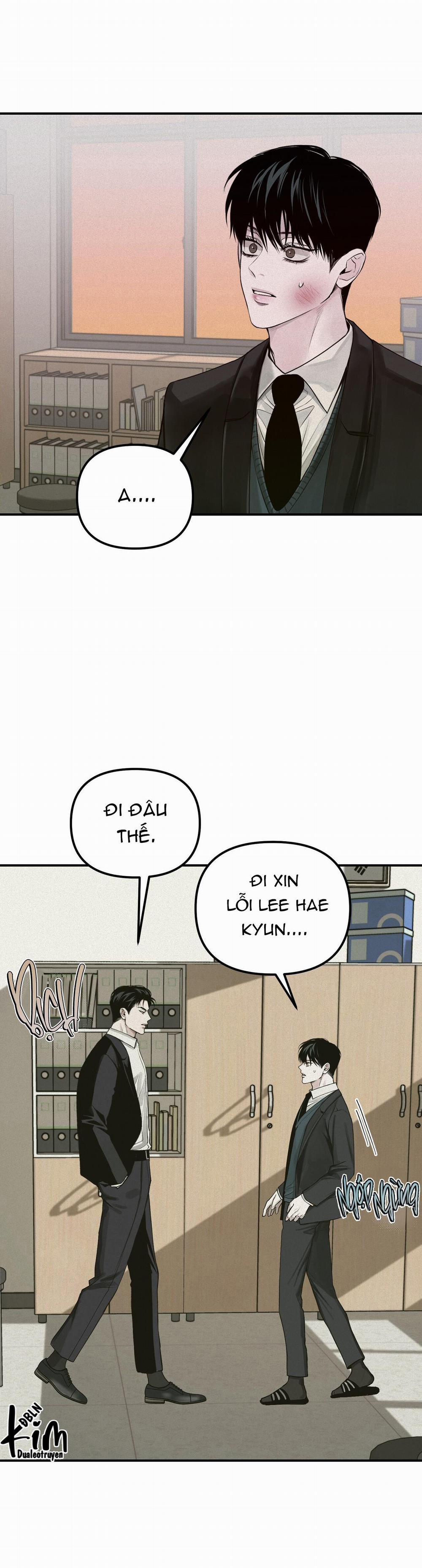 Projection 24 trang 23