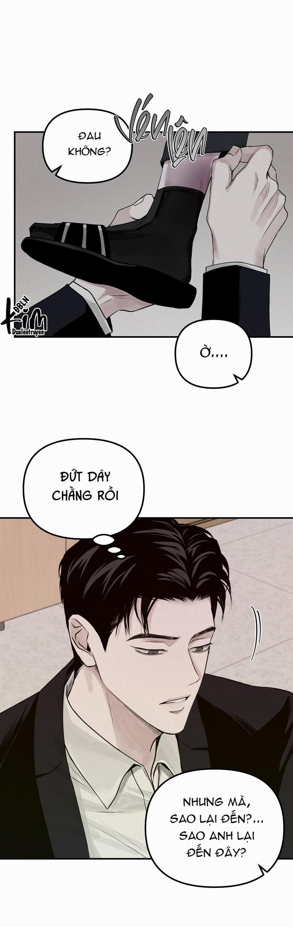 Projection 24 trang 26