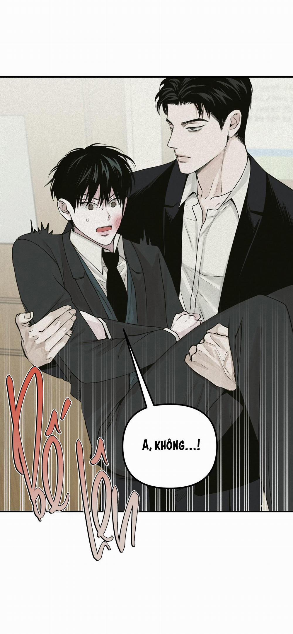 Projection 24 trang 38