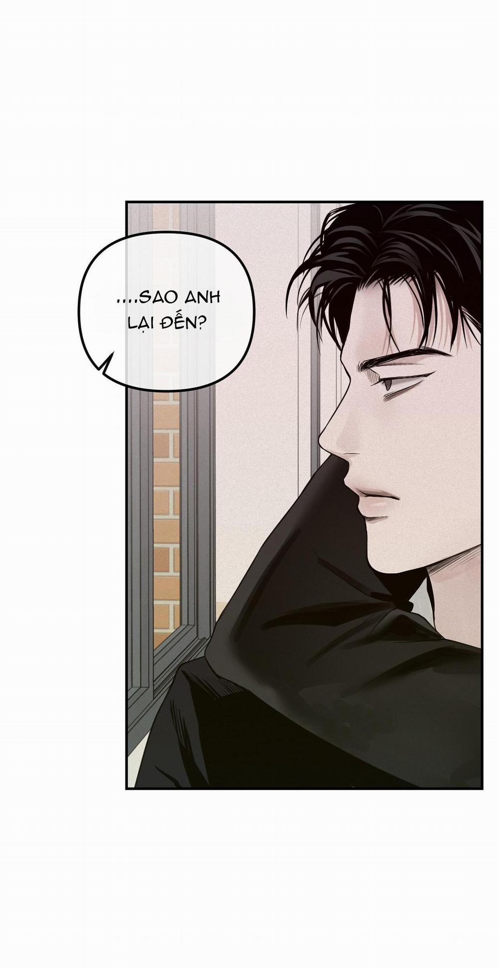 Projection 25 trang 31