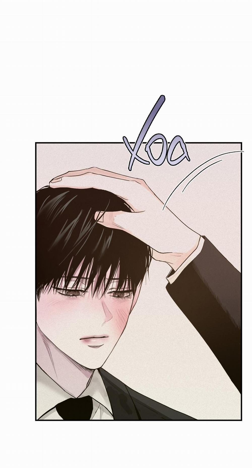 Projection 25 trang 43