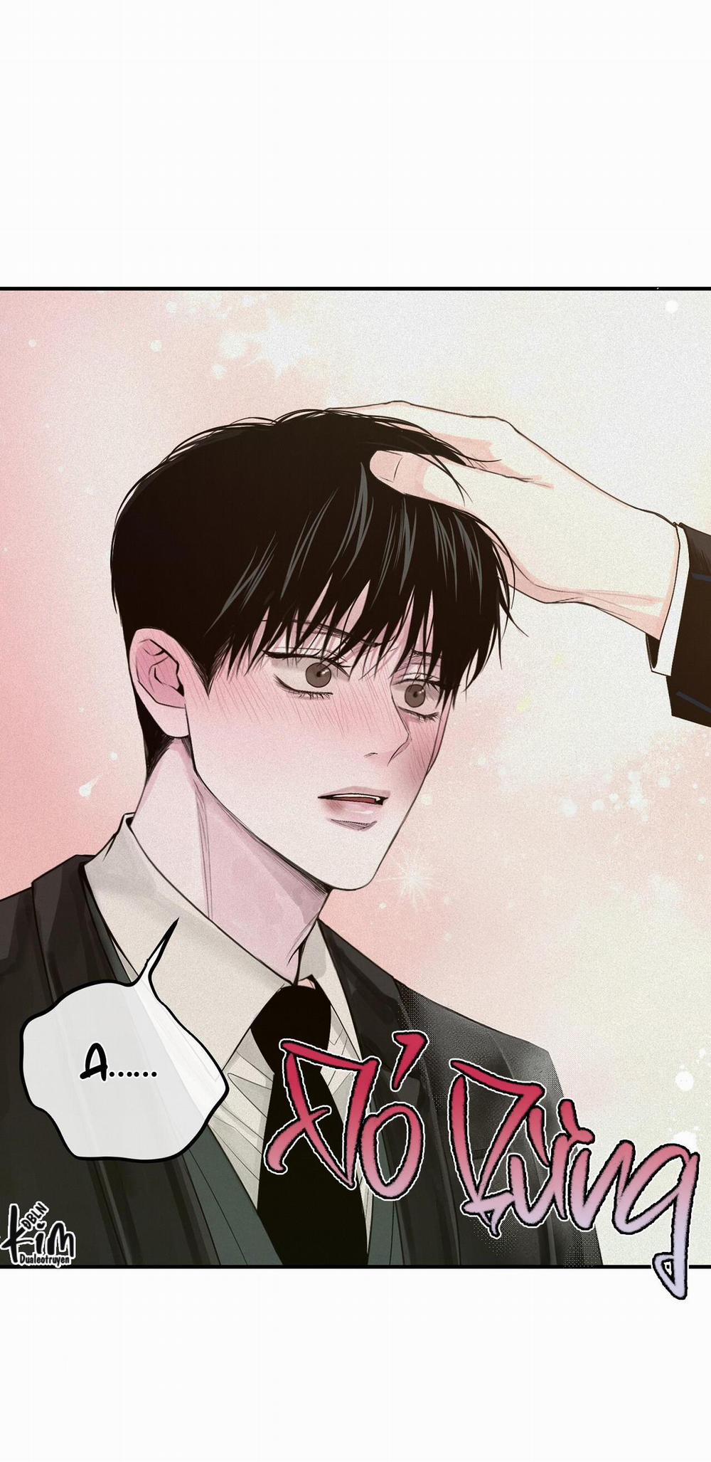 Projection 25 trang 46