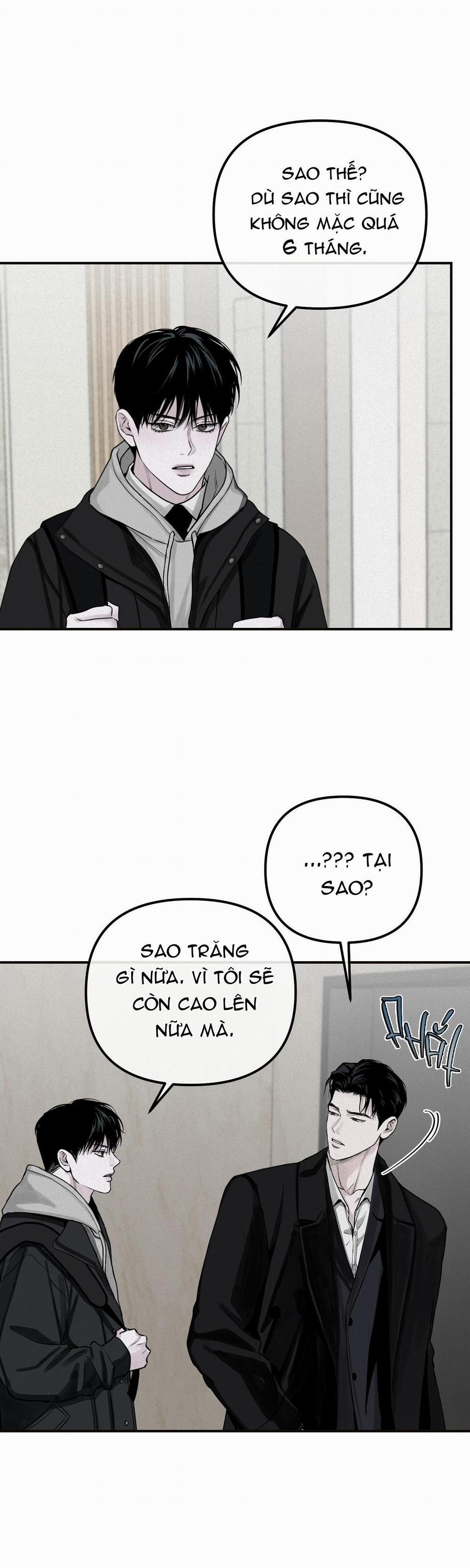 Projection 26 trang 17