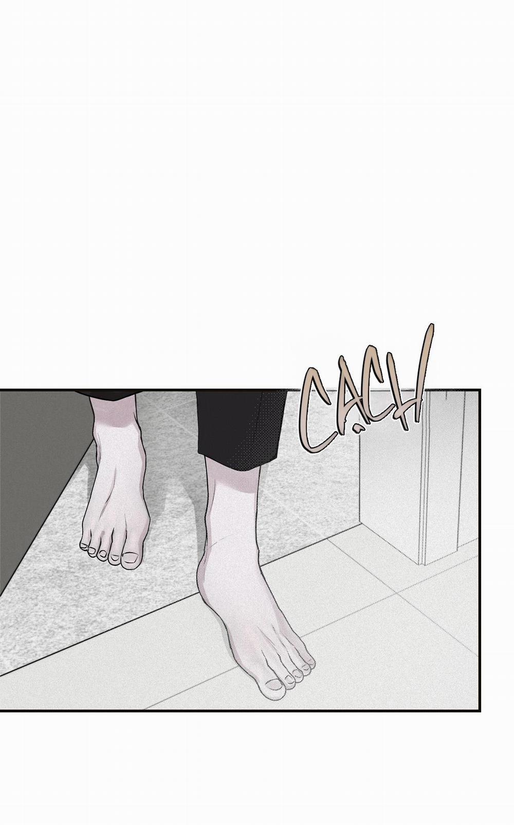 Projection 26 trang 5