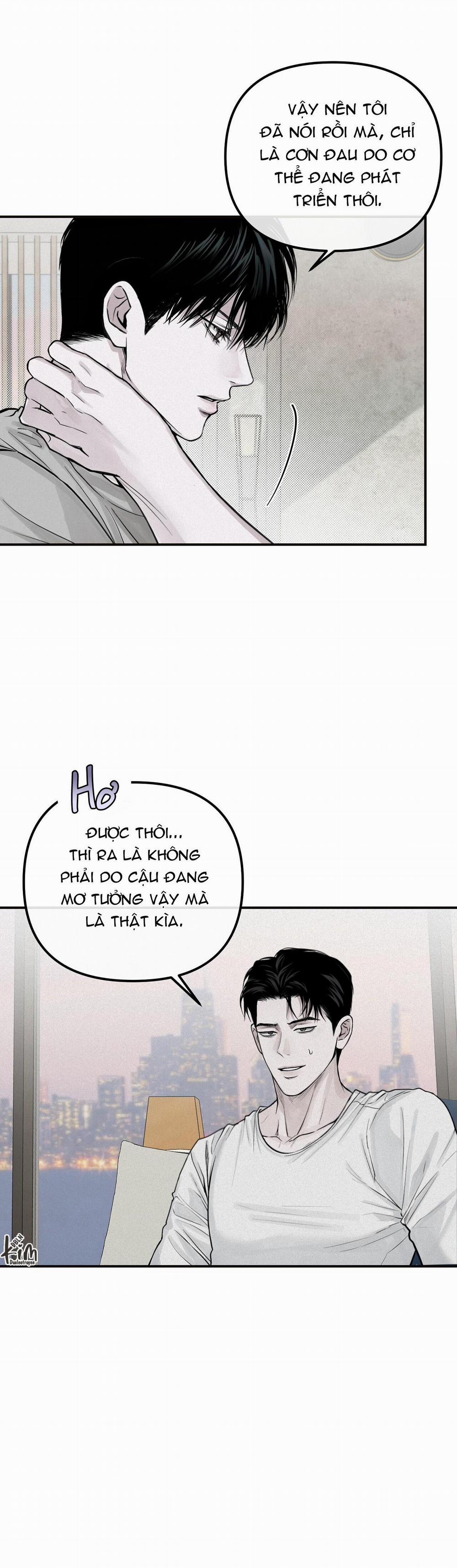 Projection 26 trang 8