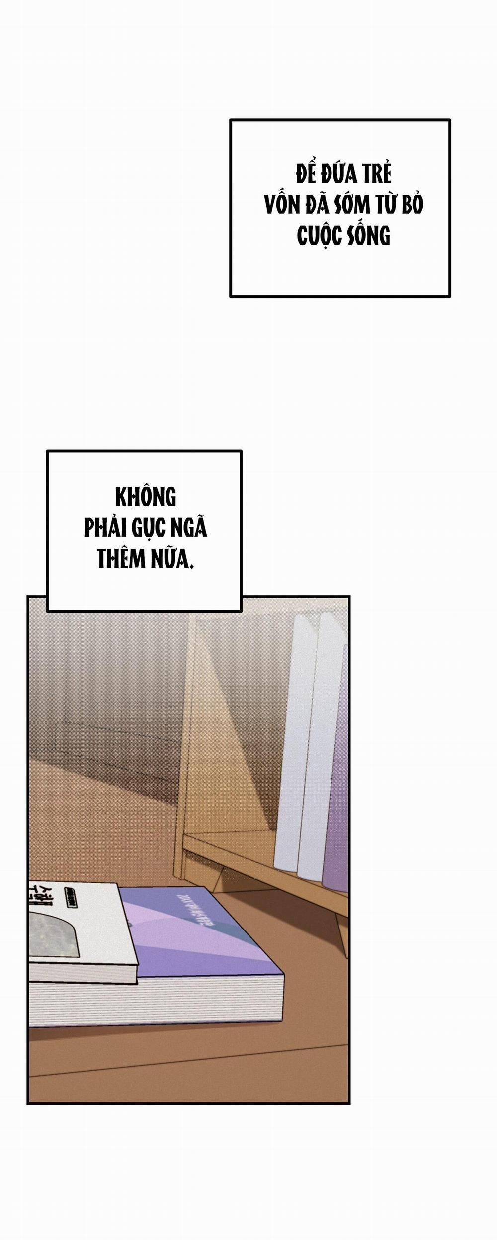 Projection 27 trang 15