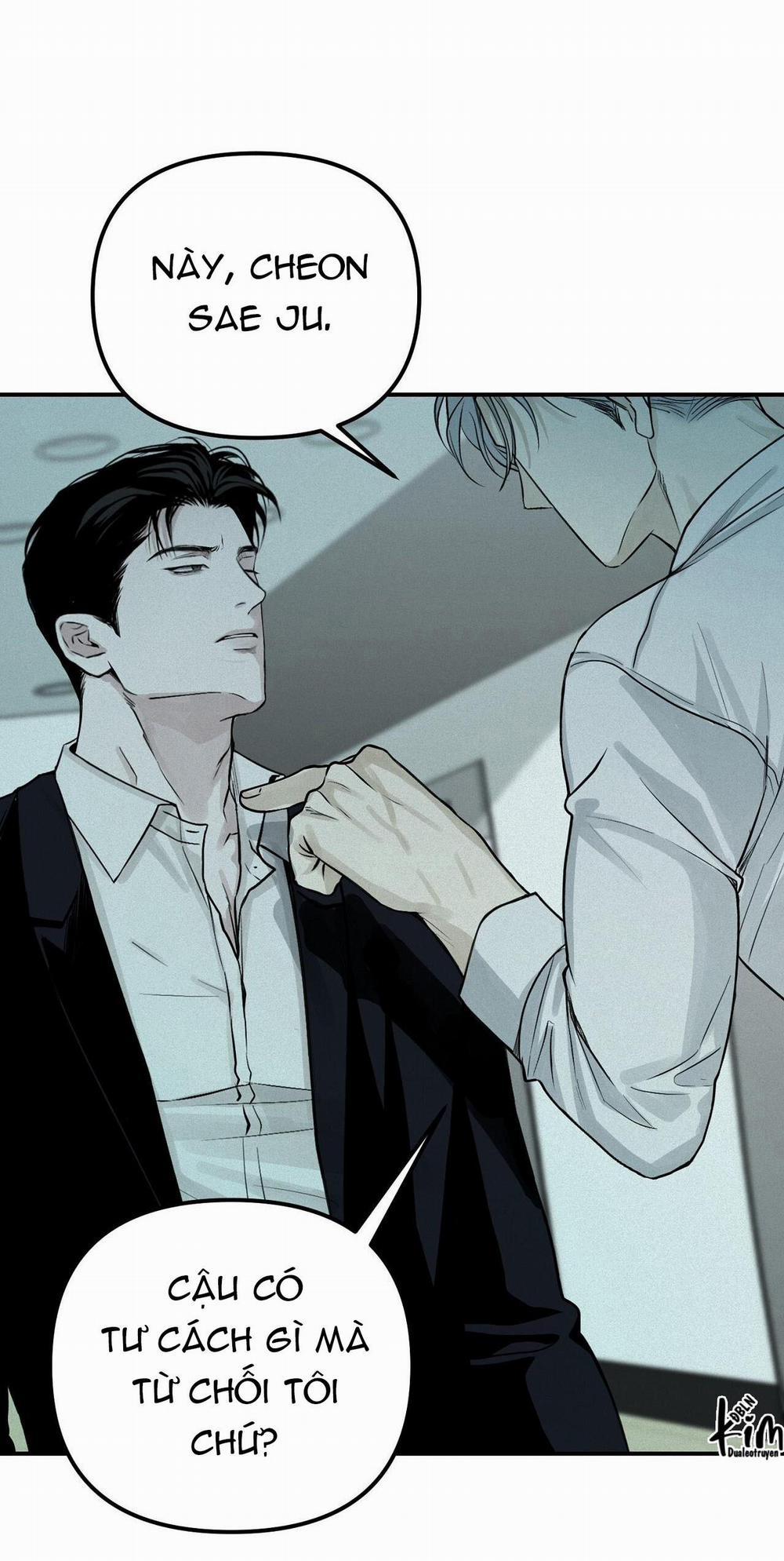 Projection 28 trang 13