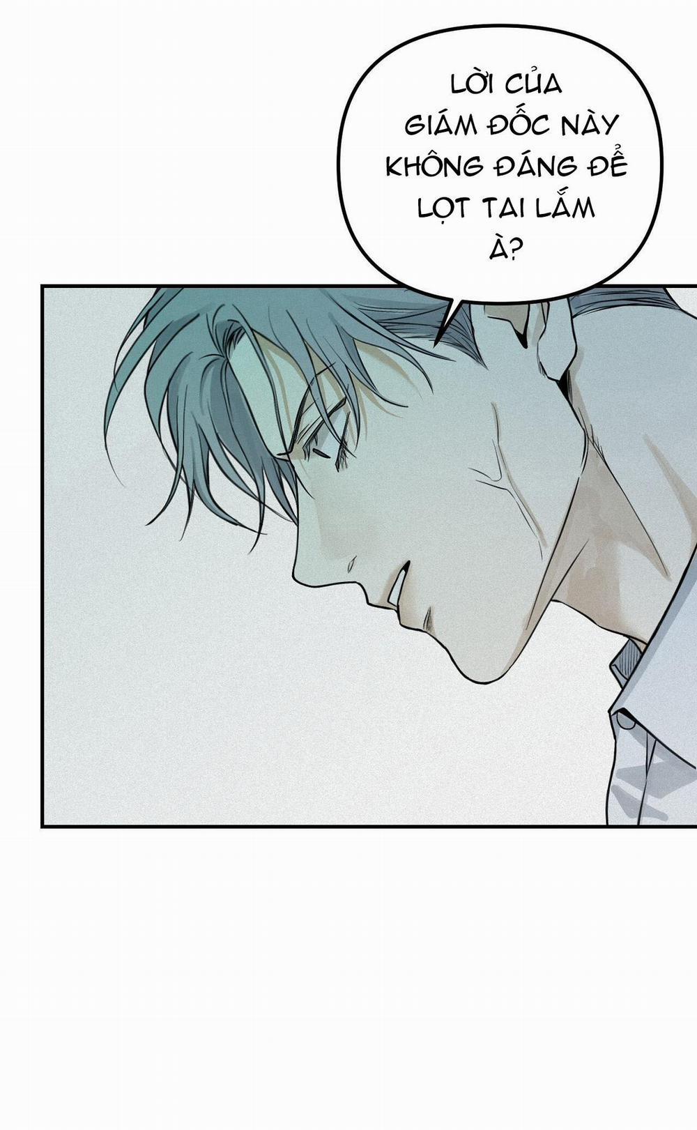 Projection 28 trang 14