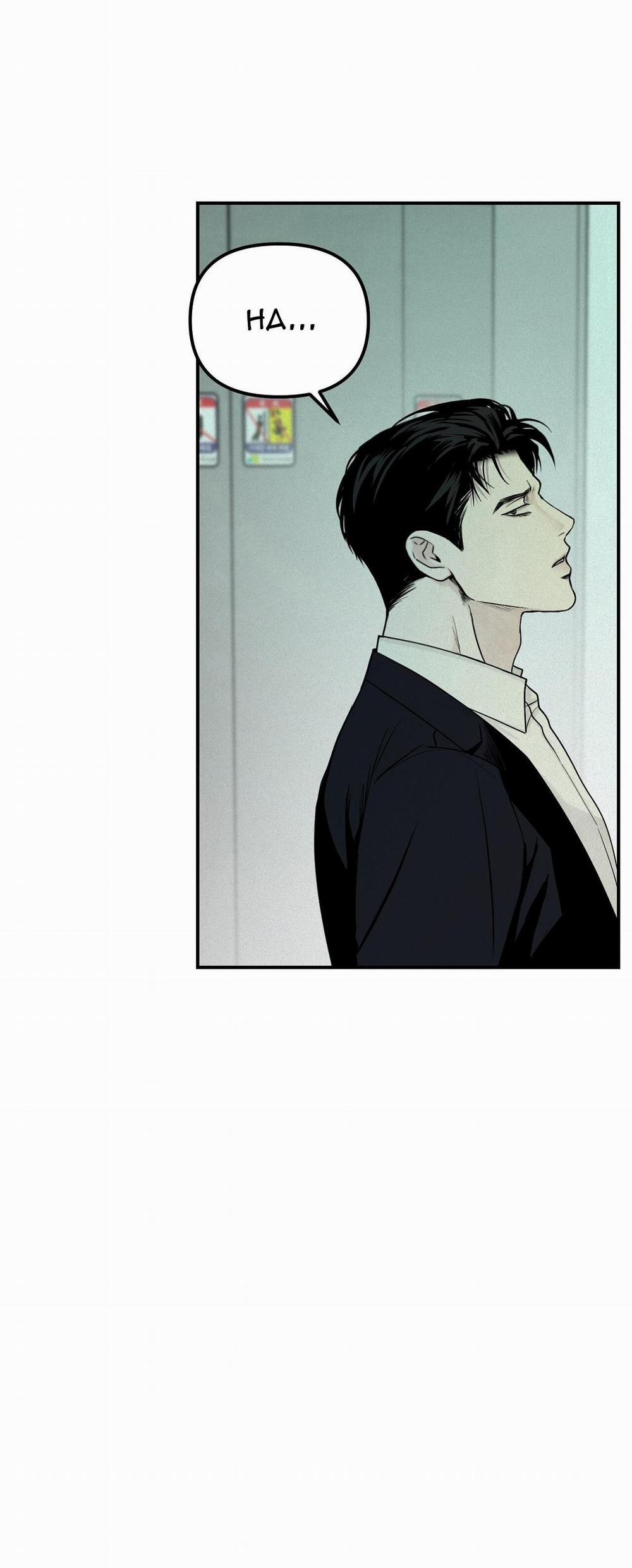 Projection 28 trang 17