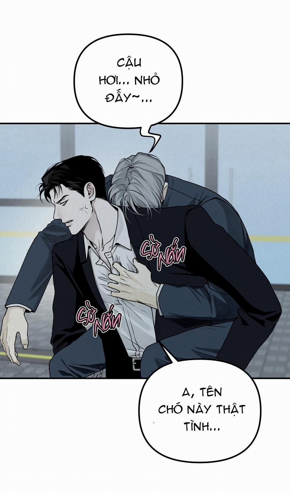 Projection 28 trang 45