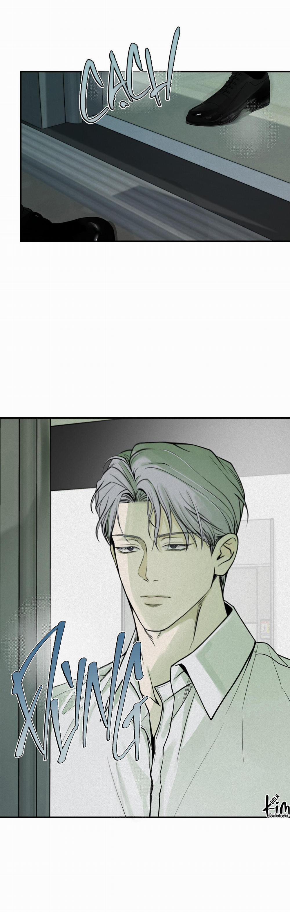 Projection 28 trang 5