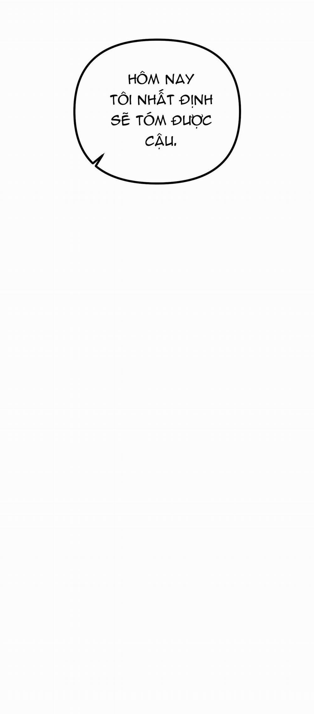 Projection 28 trang 51