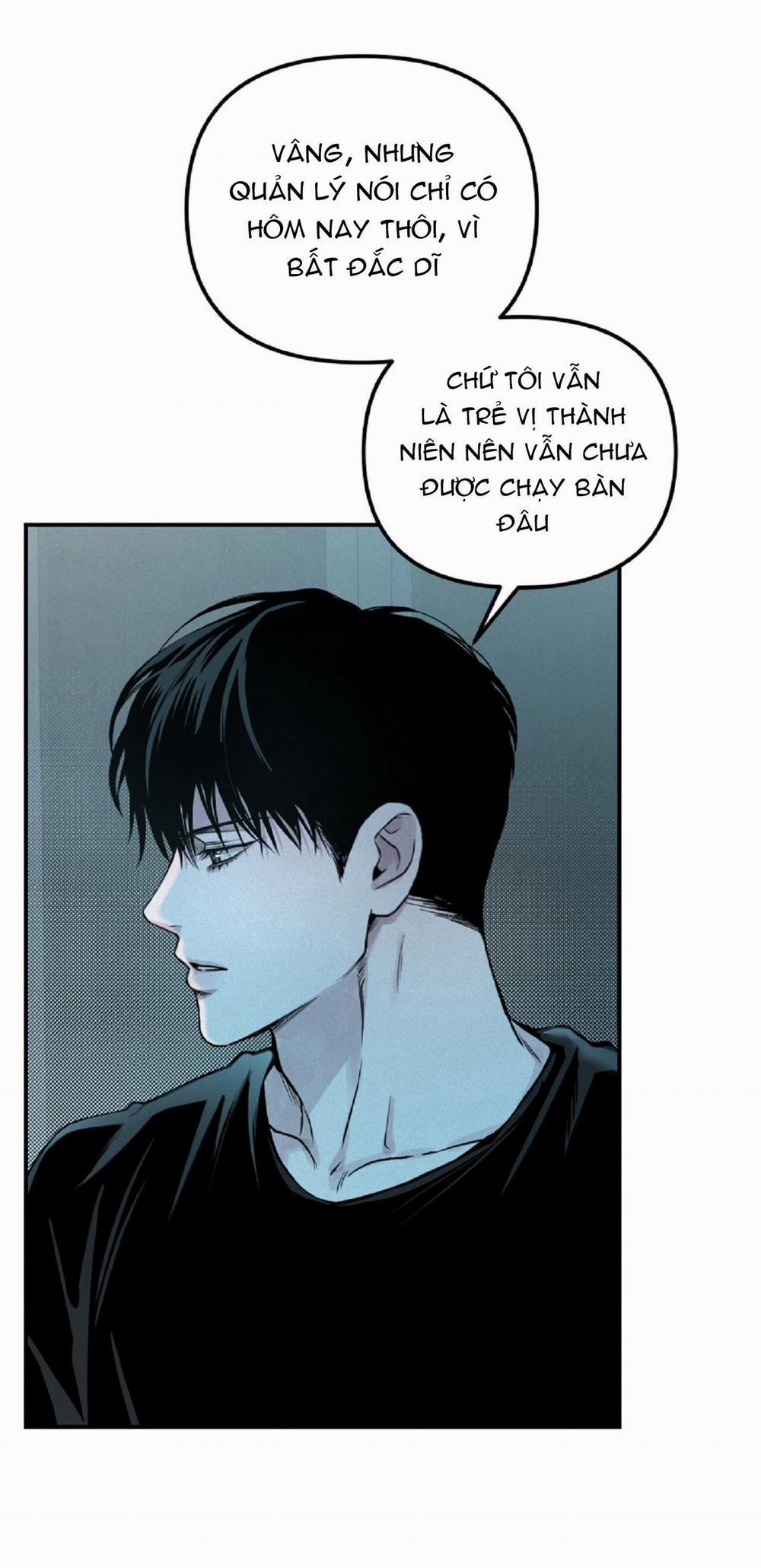 Projection 29 trang 12