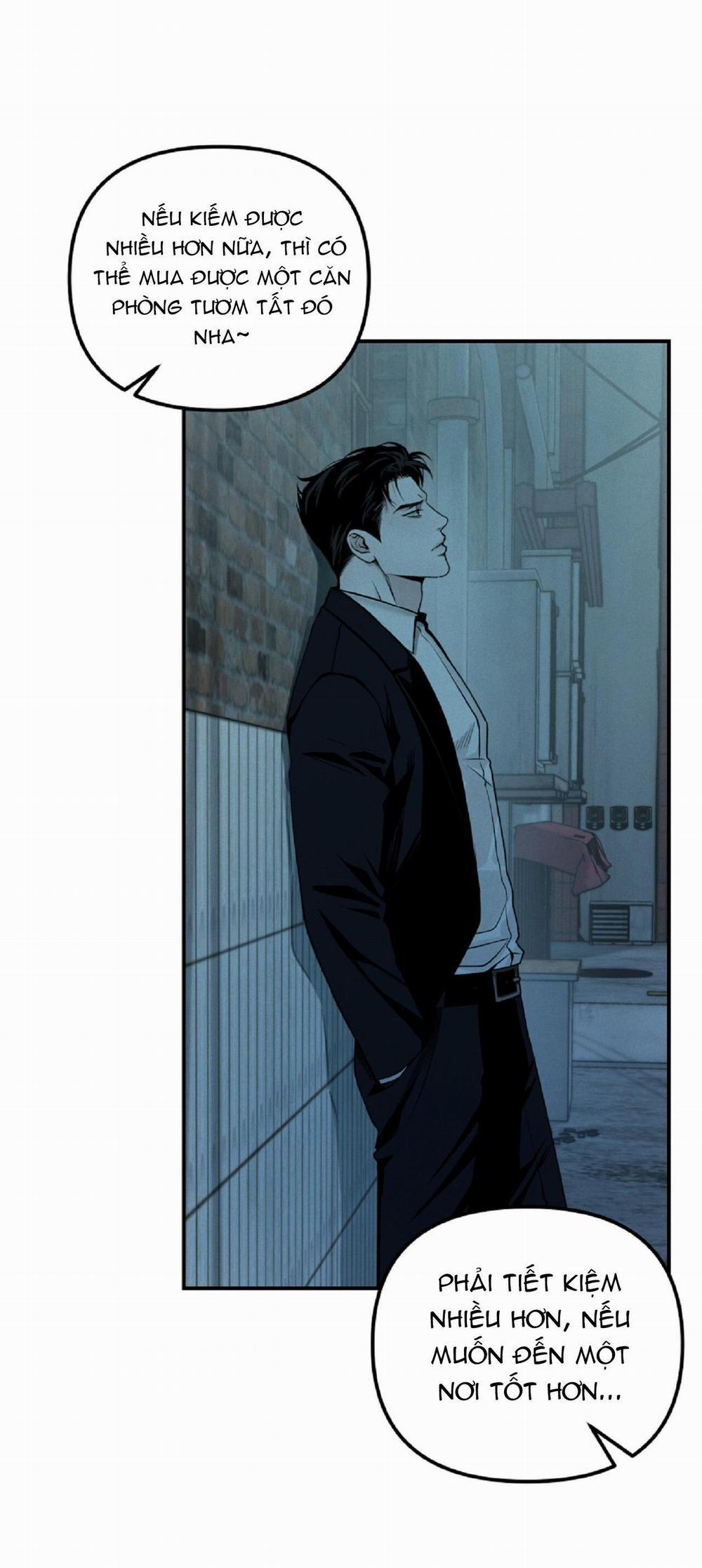 Projection 29 trang 15