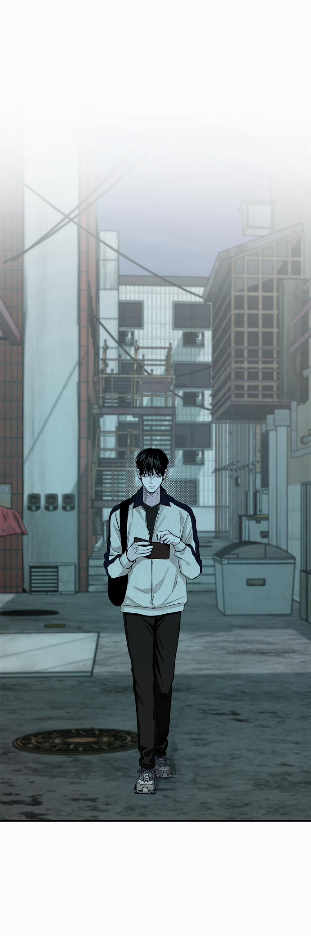 Projection 29 trang 19