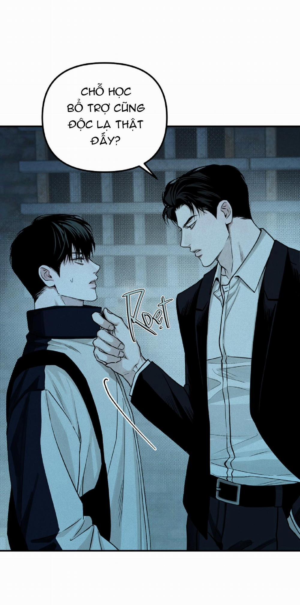 Projection 29 trang 23