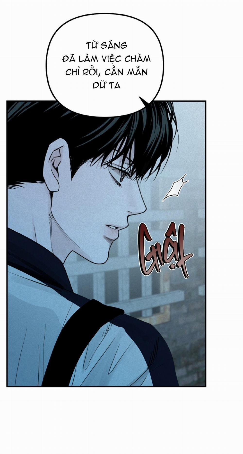 Projection 29 trang 25