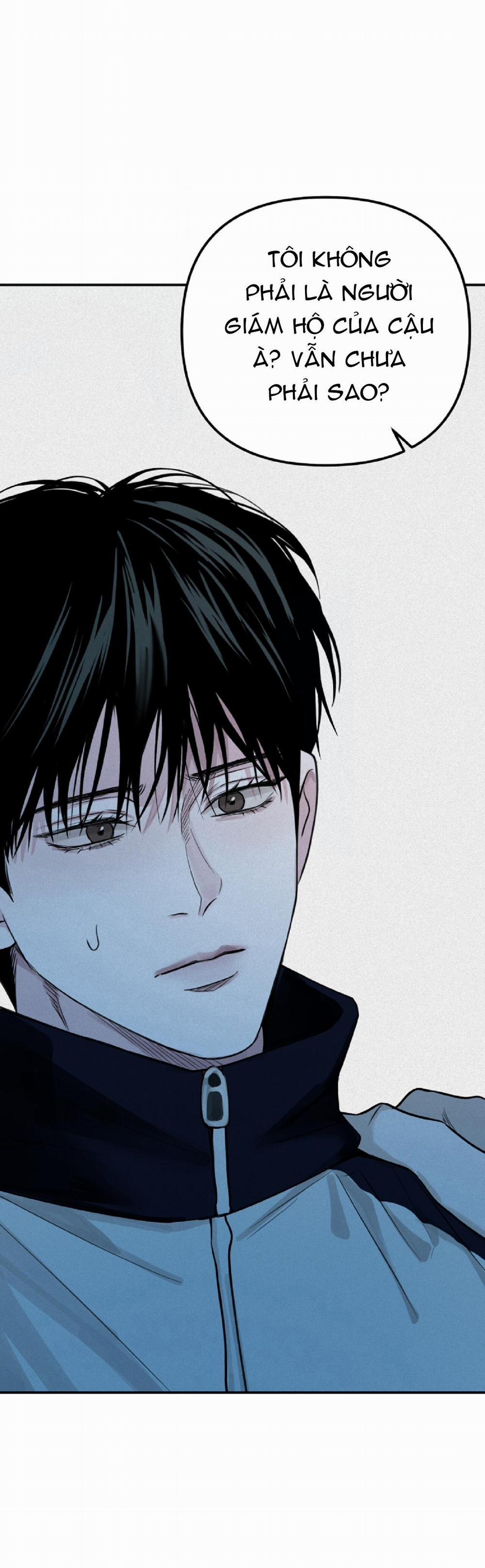 Projection 29 trang 36