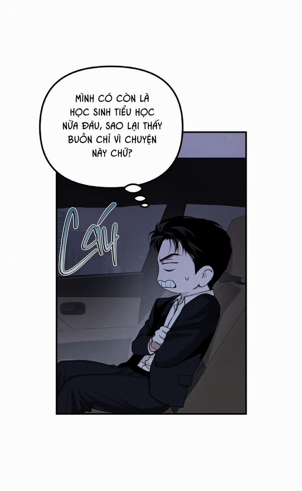 Projection 29 trang 4