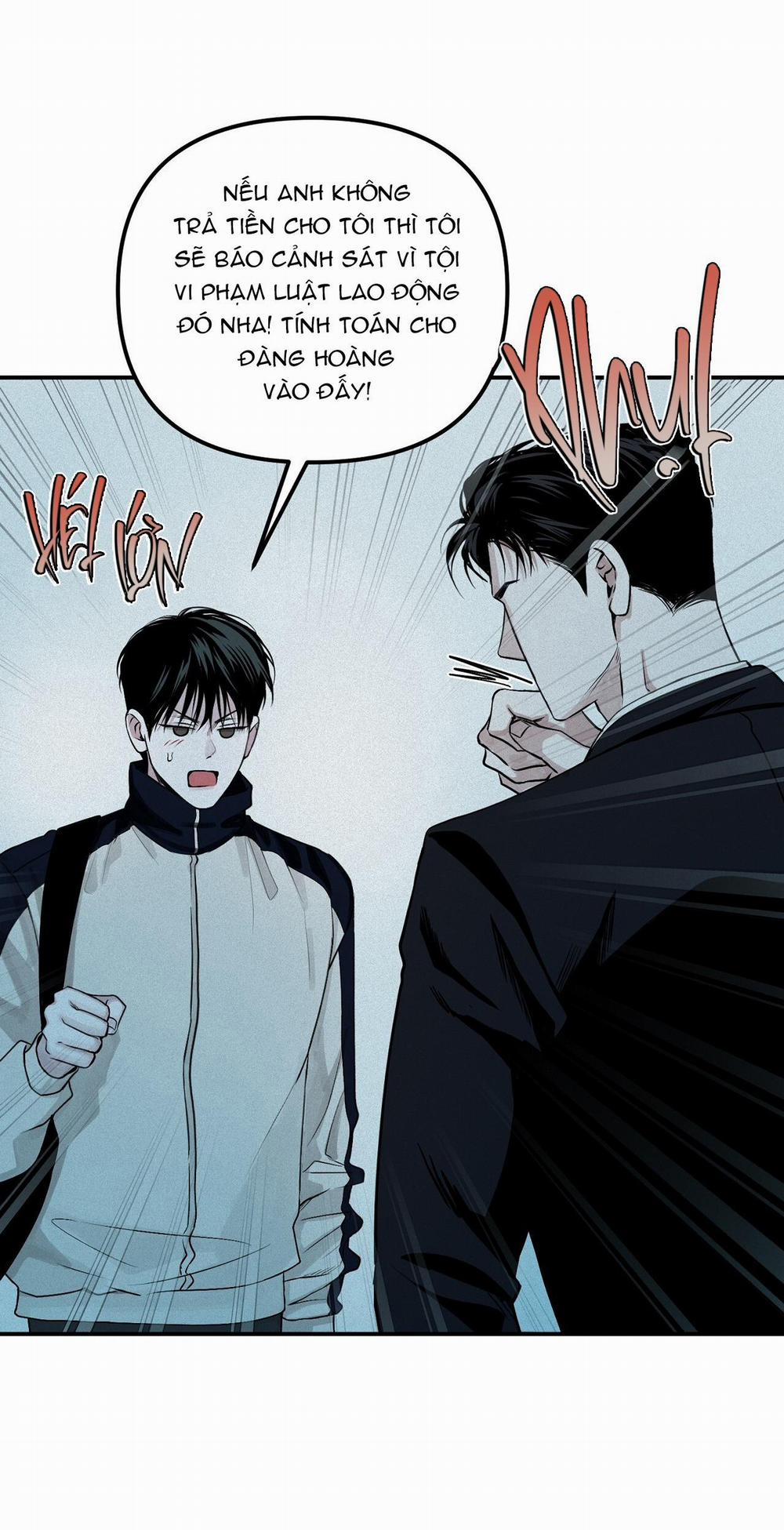 Projection 29 trang 55