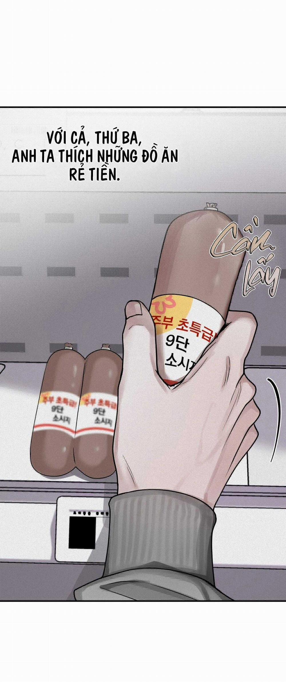 Projection 30 trang 13