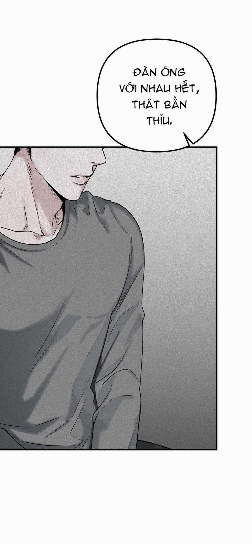 Projection 30 trang 44