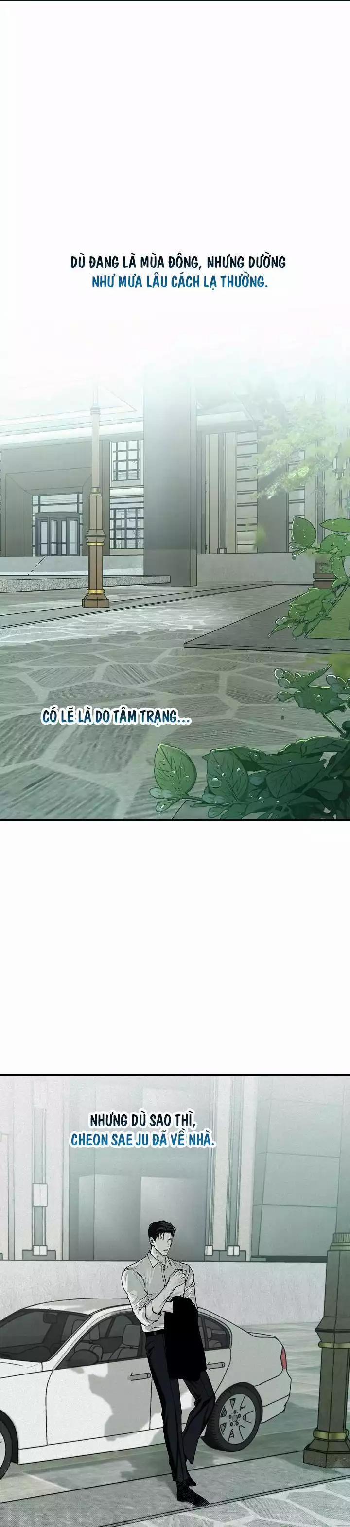 Projection 31 trang 0