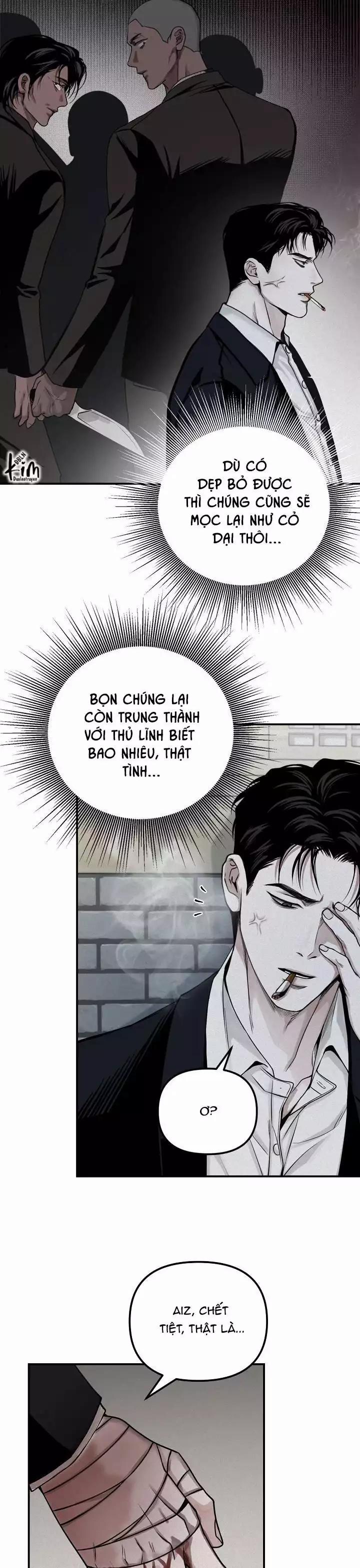 Projection 31 trang 13