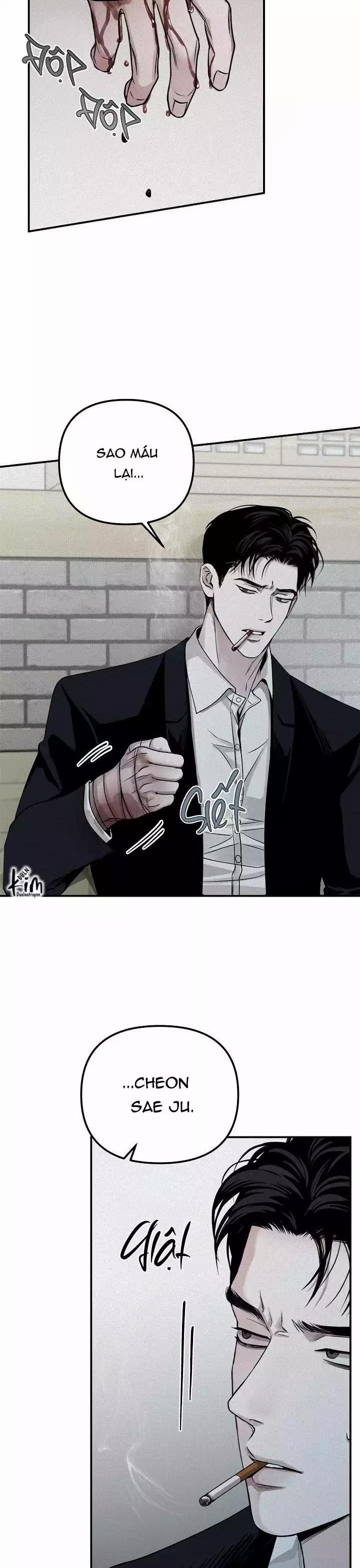 Projection 31 trang 14