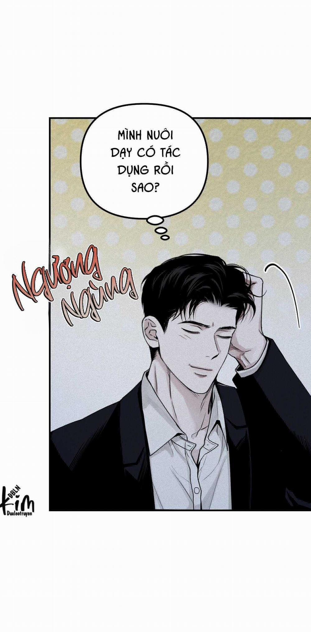 Projection 32 trang 11