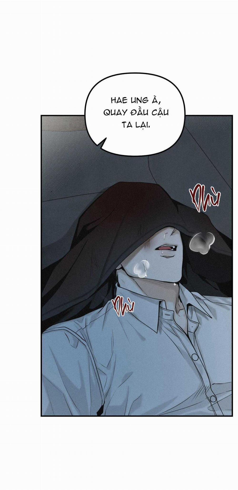 Projection 32 trang 19