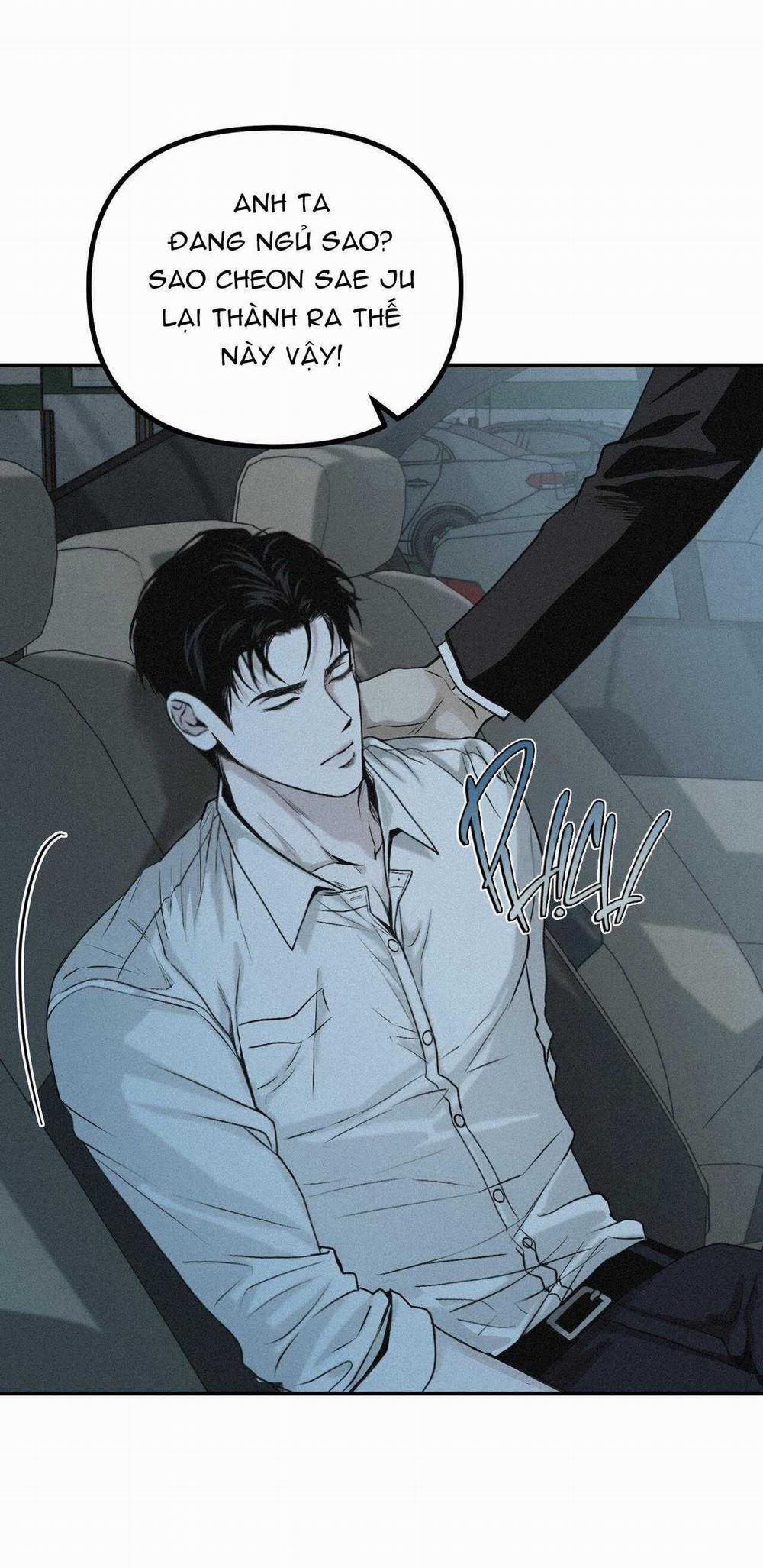 Projection 32 trang 49