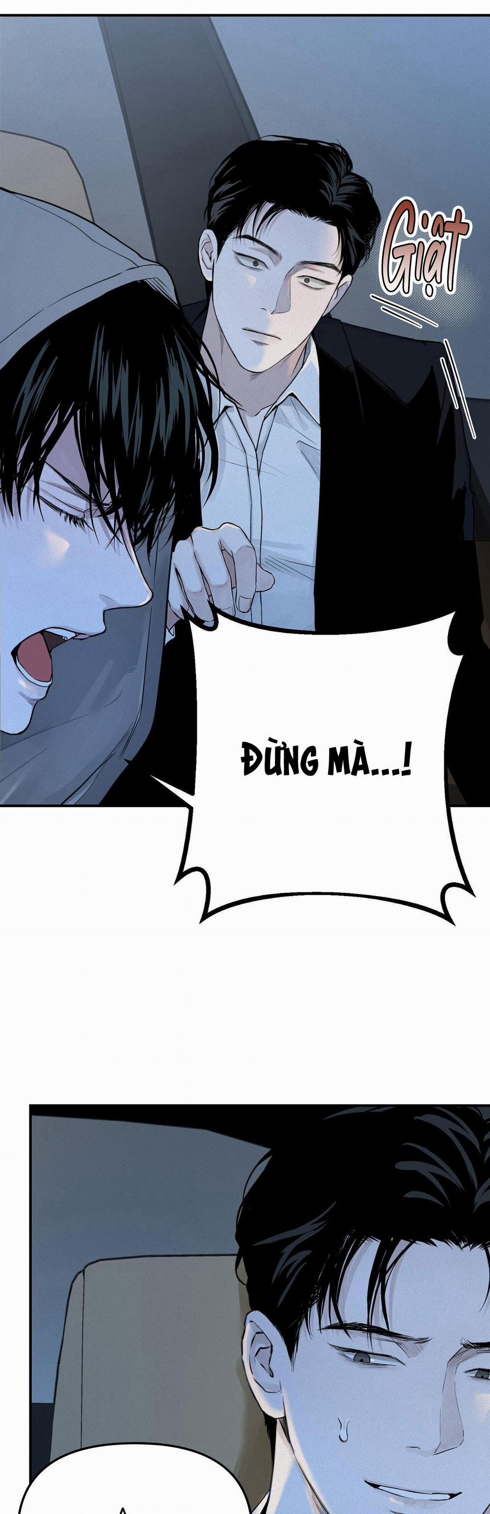 Projection 4 trang 7