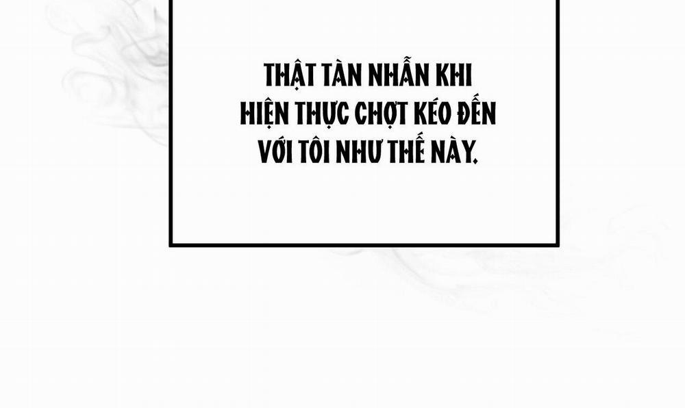 Projection 6 trang 101