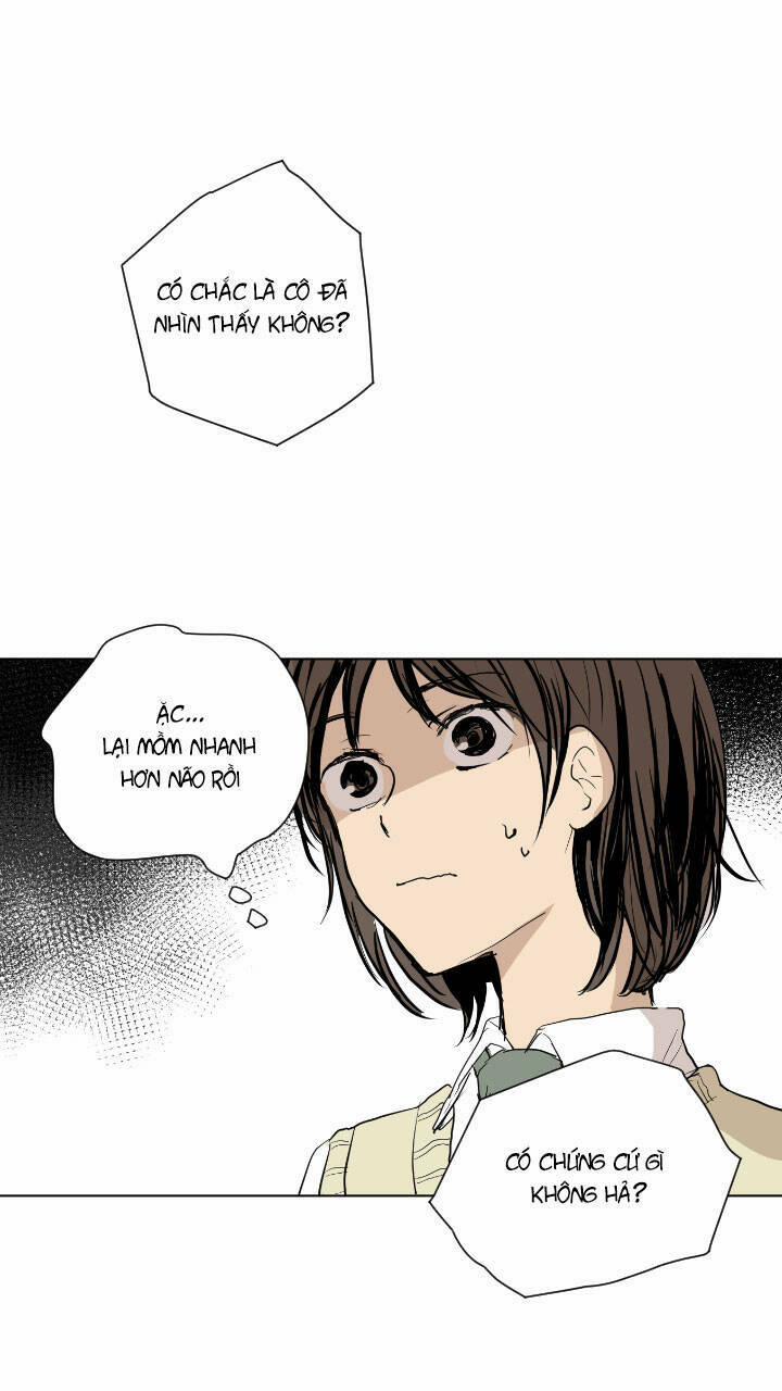 Pumpkin Time 13 trang 4