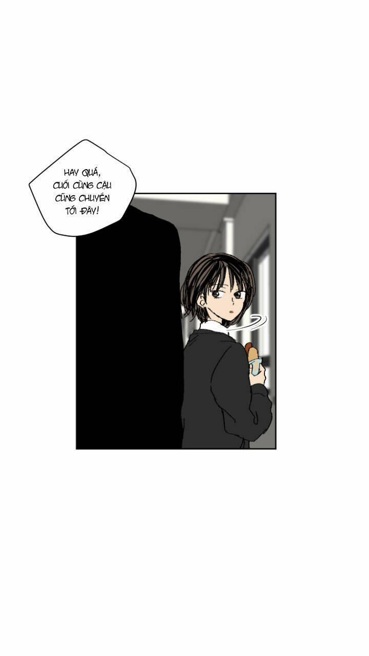 Pumpkin Time 8 trang 13