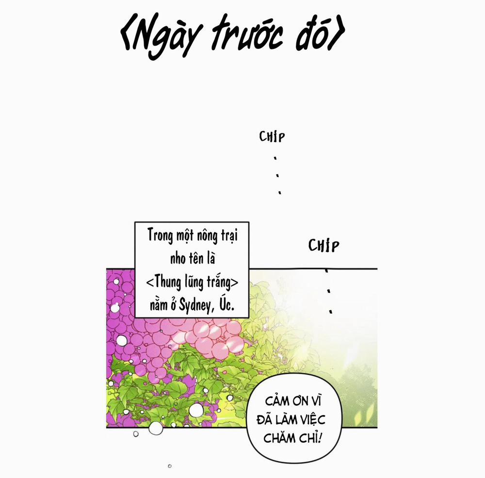 Punk Dunk Funk 1 trang 5