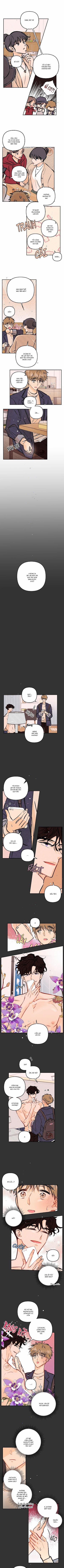 Punk Dunk Funk 33 trang 1