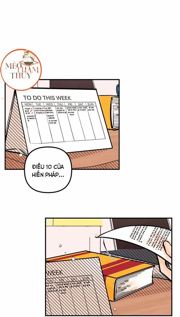 Punk Dunk Funk 37 trang 1