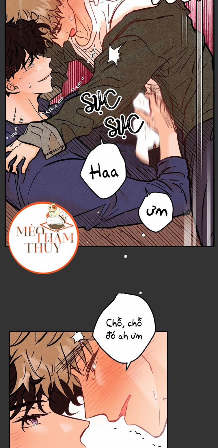 Punk Dunk Funk 37 trang 29