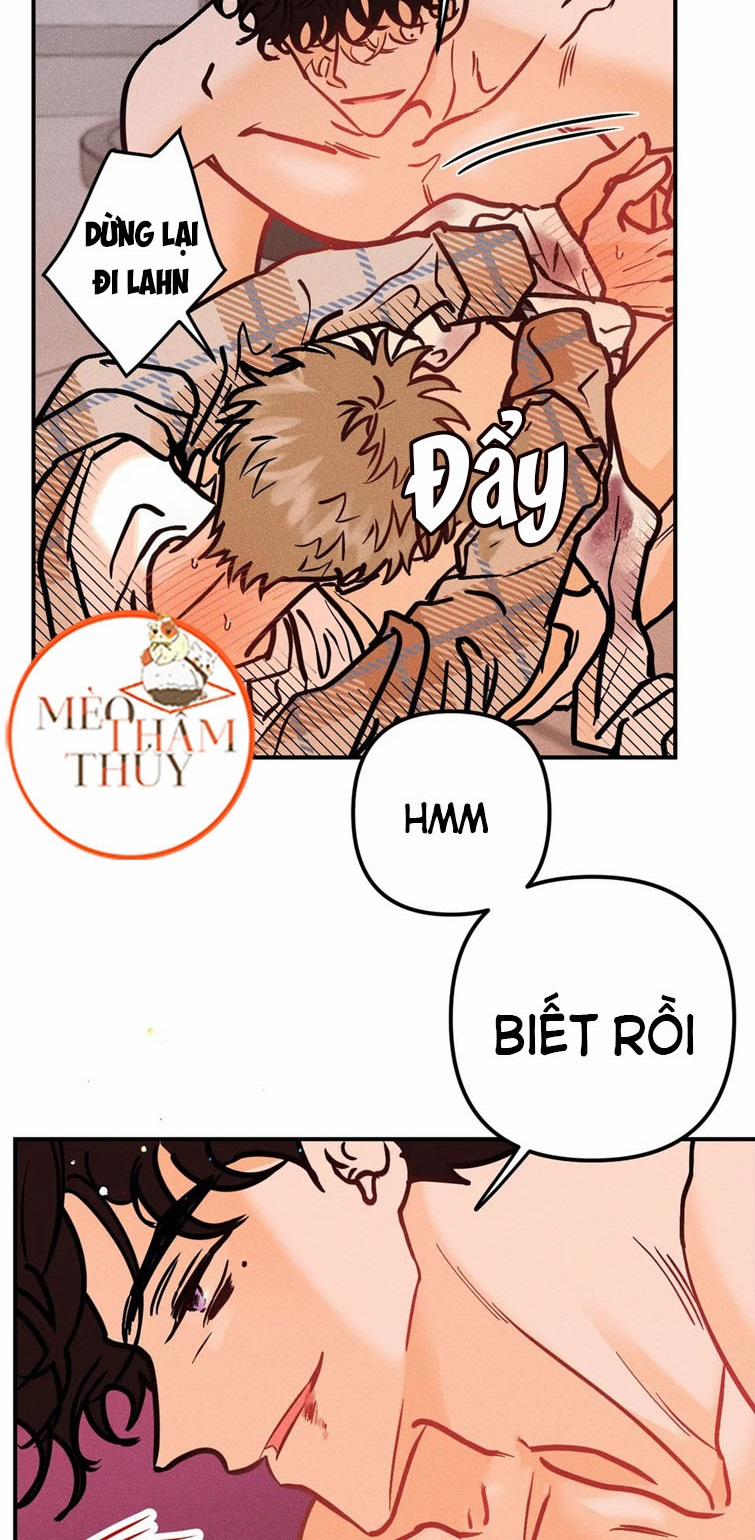 Punk Dunk Funk 39 trang 23