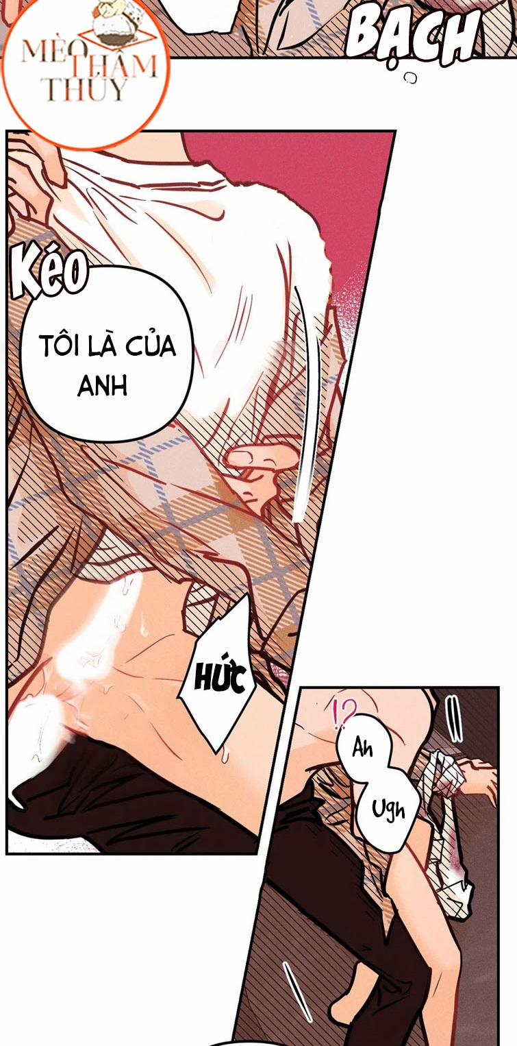 Punk Dunk Funk 40 trang 6