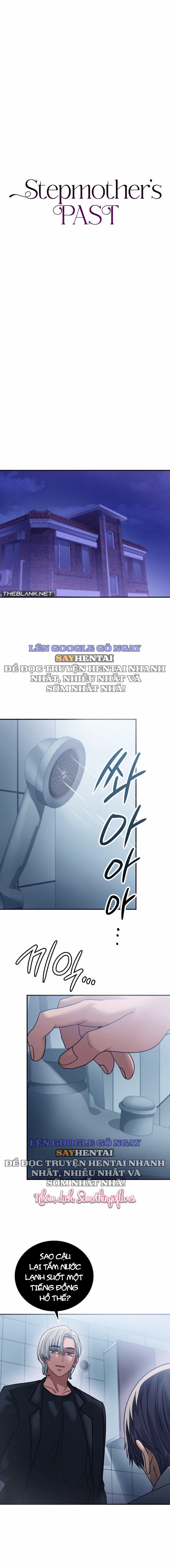 Quá Khứ Của Mẹ Kế 40 trang 3