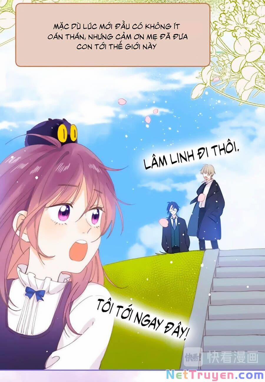 Quả Táo Của Anh 16 trang 24