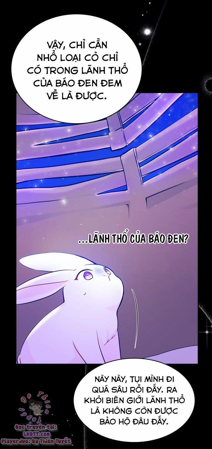 Quan Hệ Cộng Sinh Giữa Hắc Báo Và Bạch Thỏ 1 trang 17