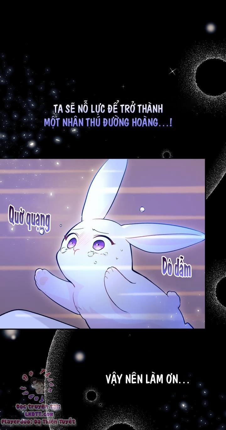 Quan Hệ Cộng Sinh Giữa Hắc Báo Và Bạch Thỏ 1 trang 21