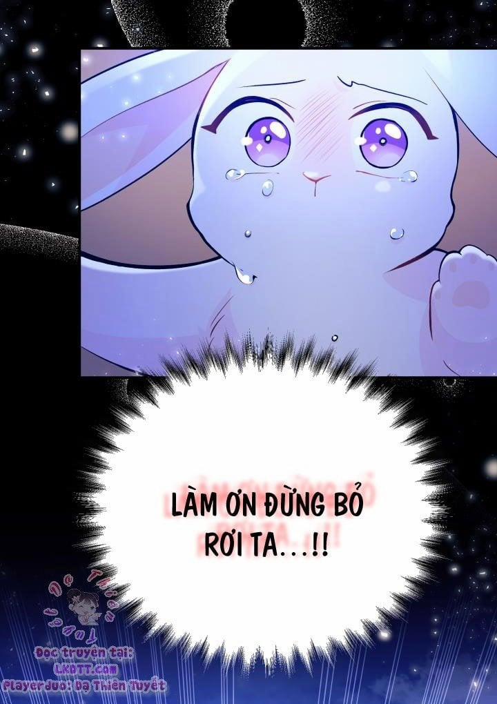 Quan Hệ Cộng Sinh Giữa Hắc Báo Và Bạch Thỏ 1 trang 22