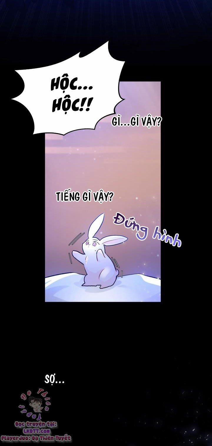 Quan Hệ Cộng Sinh Giữa Hắc Báo Và Bạch Thỏ 1 trang 24