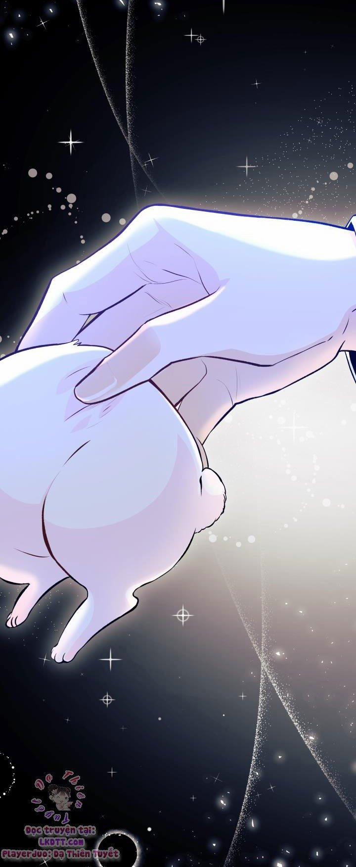 Quan Hệ Cộng Sinh Giữa Hắc Báo Và Bạch Thỏ 1 trang 28